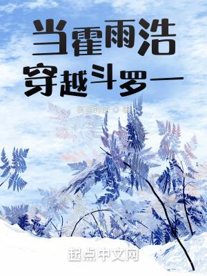 当霍雨浩穿越斗罗一txt 当霍雨浩穿越斗罗一txt